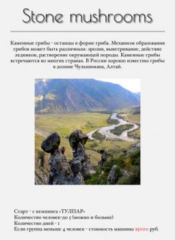 Экскурсия на Каменные грибы Алтай 