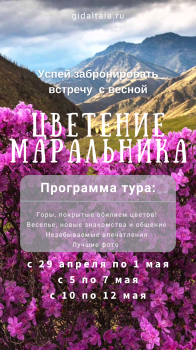 Цветение Маральника - Сиреневые горы Алтая
