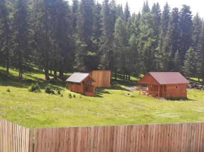 Гостевые домики в Горном Алтае возле хвойного леса