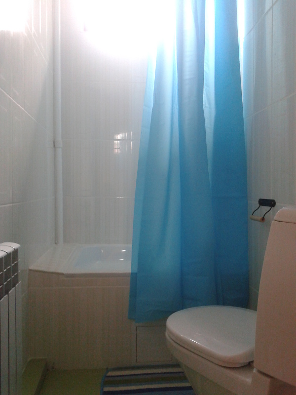Санузел, душ в номере отеля