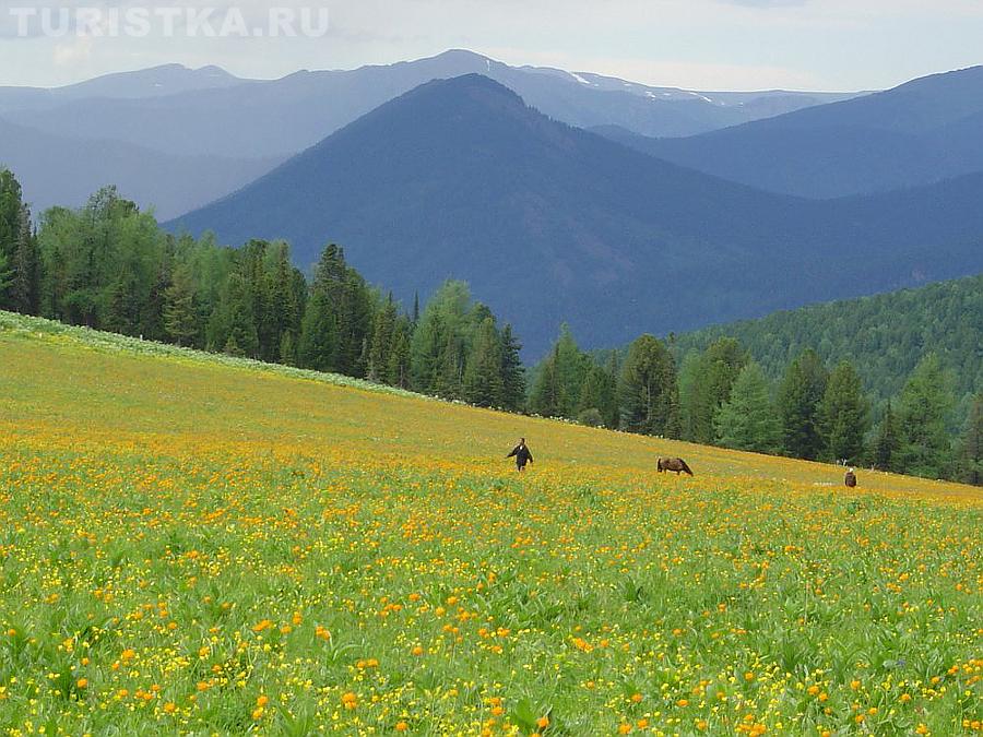 Цветущая долина Кызыл-Гак
