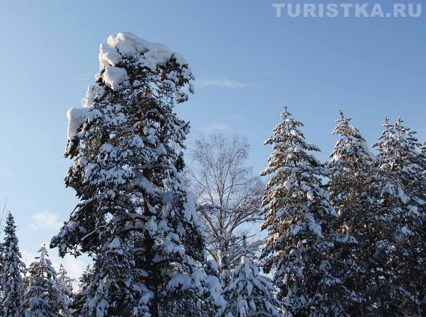 Зимний отдых в Турочаке
