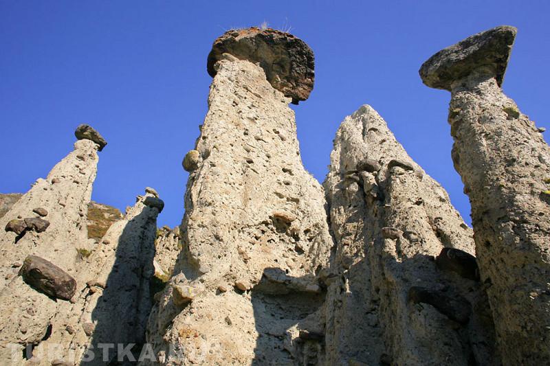 Каменные грибы в Горном Алтае