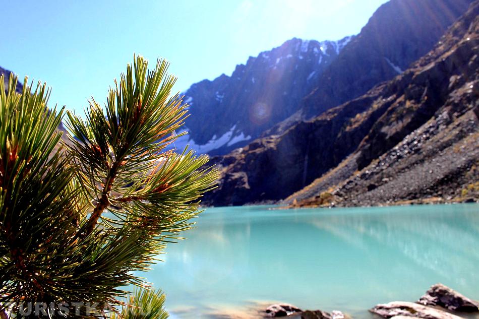 Изумрудная вода на озере : горный Алтай