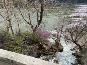 После водопада Бельтиртуюк река Бельтертуюк впадает в Катунь