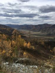 Фотоконкурс Золототая осень на Алтае 2018. На вершине перевала Чике-Таман, Алтай