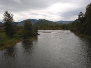 Река Ануй