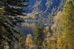 Золотая осень на Алтае : Телецкое озеро
