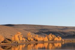 Золотая осень на Алтае : Озеро Красногорское, Кош-Агачский район