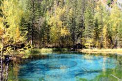 Золотая осень на Алтае : Голубое (Гейзеровое) озеро