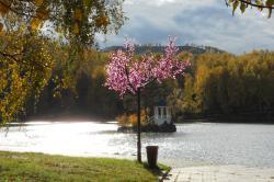 Золотая осень на Алтае : Озеро Ая
