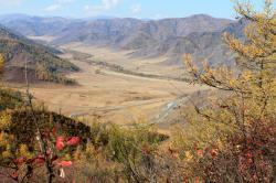 Золотая осень на Алтае : Перевал Чике-Таман