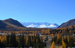 Золотая осень на Алтае : Северо-Чуйский хребет