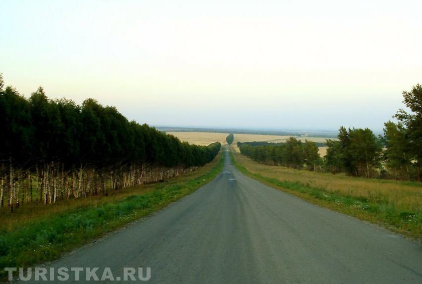 Дорога от села Сычевка к Белокурихе
