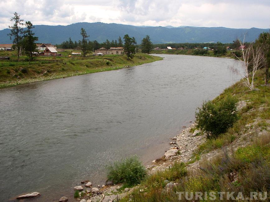 Река Кокса : Горный Алтай