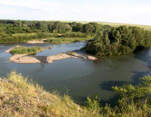 Река Чарыш возле села Краснощеково