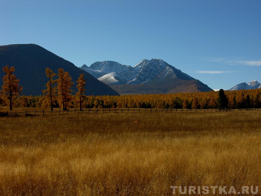 Вид на горы : Горный Алтай