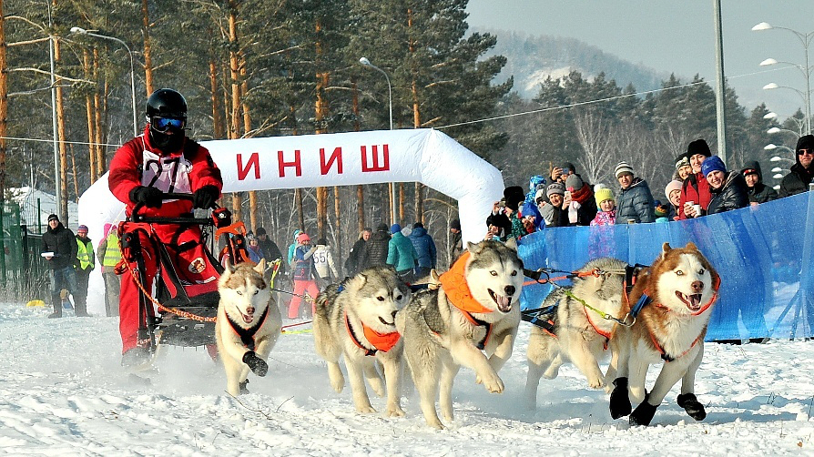 Руслан Модоров, Горно-Алтайск, 25 км, 4-6 собак
