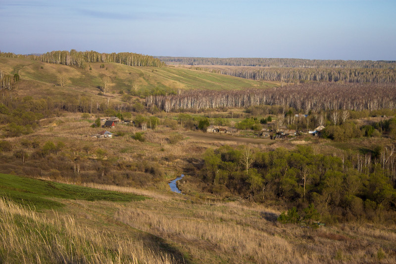 Заринский район село Голубцово