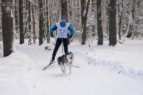 Отдых на Алтае : События на Алтае : Гонки на собачьих упряжках : По седому Алтаю 2019 : Эдуард Андрецов, Кемерово, скиджоринг, 50 км, 2 собаки