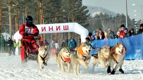 Отдых на Алтае : События на Алтае : Гонки на собачьих упряжках : По седому Алтаю 2019 : Руслан Модоров, Горно-Алтайск, 25 км, 4-6 собак