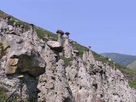 Каменный грибы