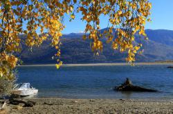 Горный Алтай : Телецкое озеро : Осень на Кырсае