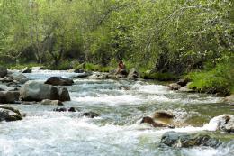 Горный Алтай : Фестиваль йоги и зикров Живое сердце Алтая : На реке Б. Ильгумень