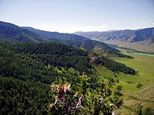 Горный Алтай : Перевал Чике-Таман