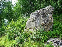 Алтайский край, Солонешенский район : Камни на горе Добрая