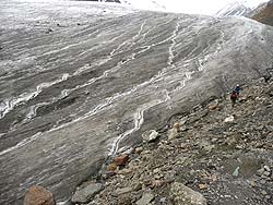 Горный Алтай : Алтаеведение : Нижний край ледника