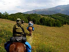 Конный поход на плато Укок : На спуске