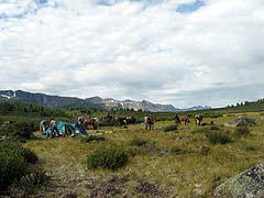 Конный поход на плато Укок : На стоянке