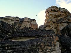 Конный поход на плато Укок : Сокол, парящий над скалами