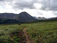 Горный Алтай : Поход от Чемала до Телецкого (лето 2007) : Тропа по болоту