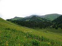 Горный Алтай : Поход от Чемала до Телецкого (лето 2007) : Плотина на Южеме