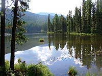 Горный Алтай : Поход от Чемала до Телецкого (лето 2007) : Лесное озеро