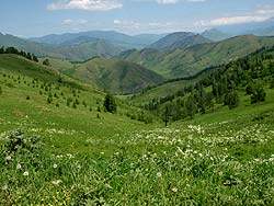 Горный Алтай : Велопоход «Два Алтая» : Вид с перевала