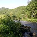 Река Куюм