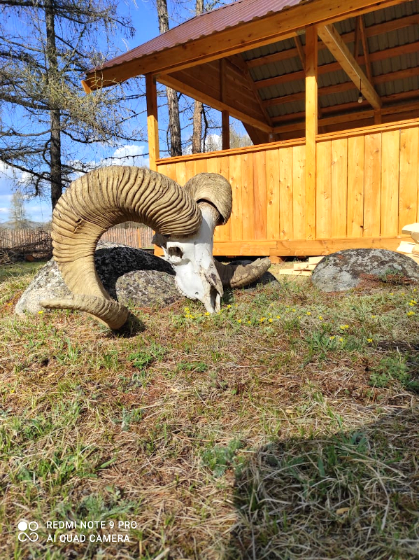 Рядом с беседкой