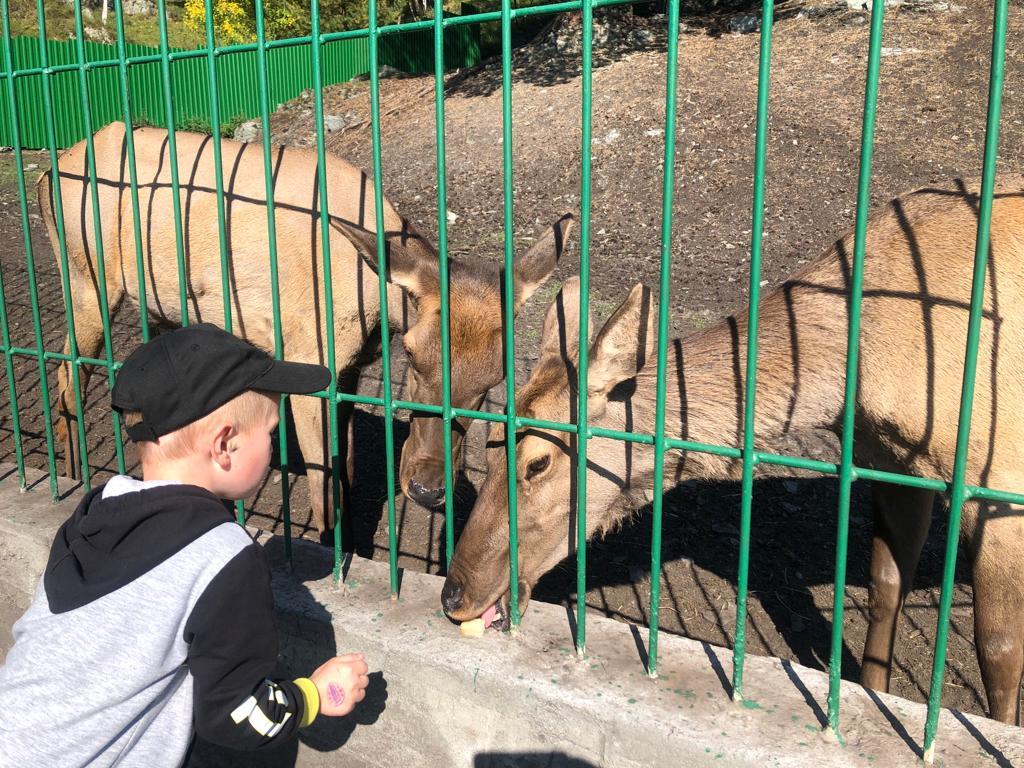 Зоопарк "Лохматая ферма"