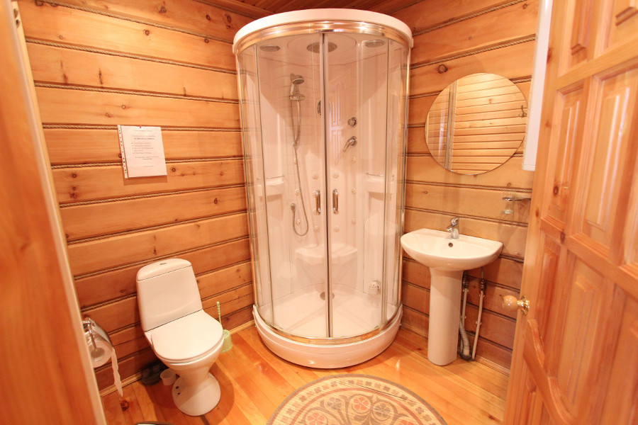 Санузел с душем дома с камином