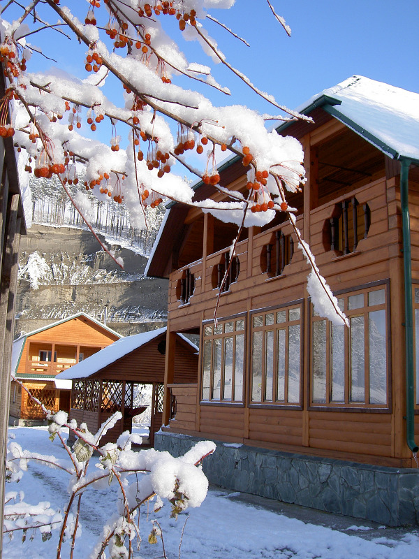 Дом с камином до 10 чел.