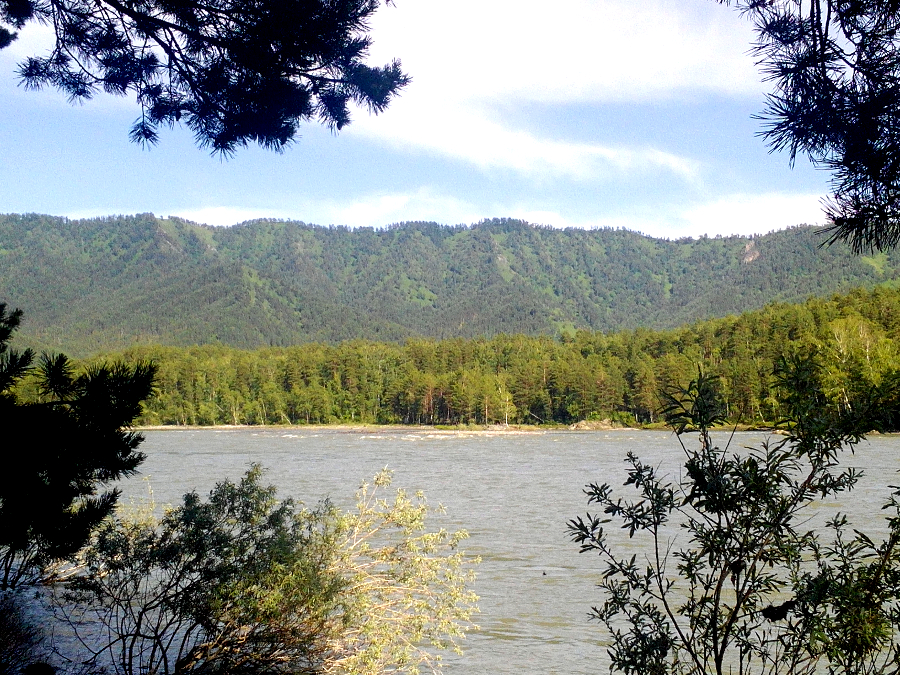 Вид на Катунь