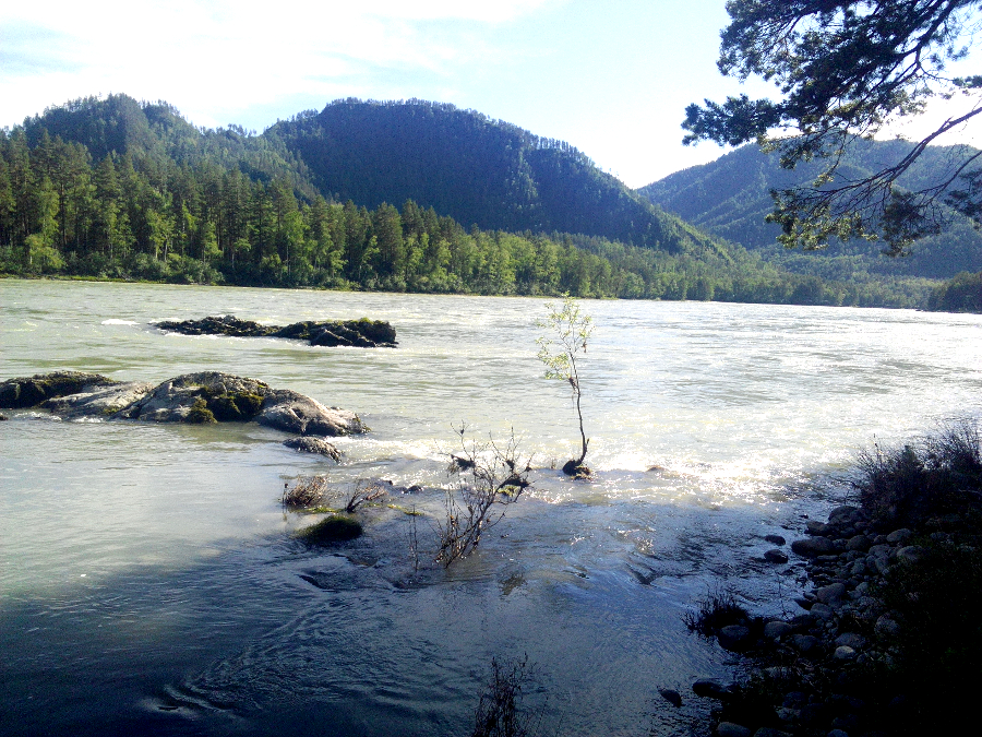 Вид на Катунь