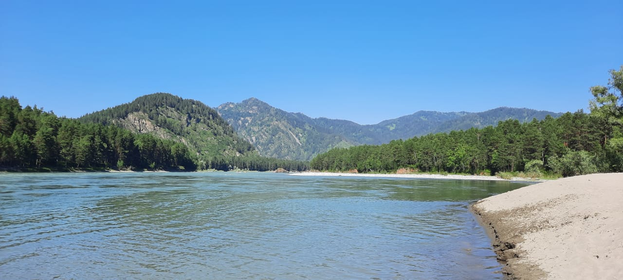 Пляж на реке Катунь