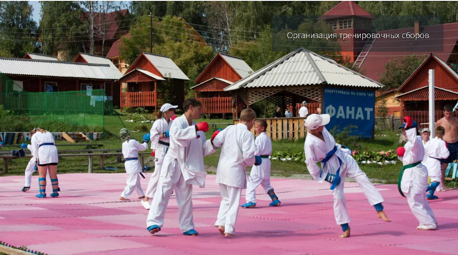 Алтай летний лагерь единоборства
