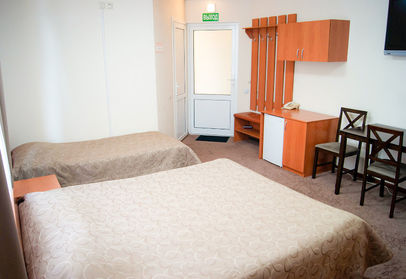 СТ3 (Стандарт) №101