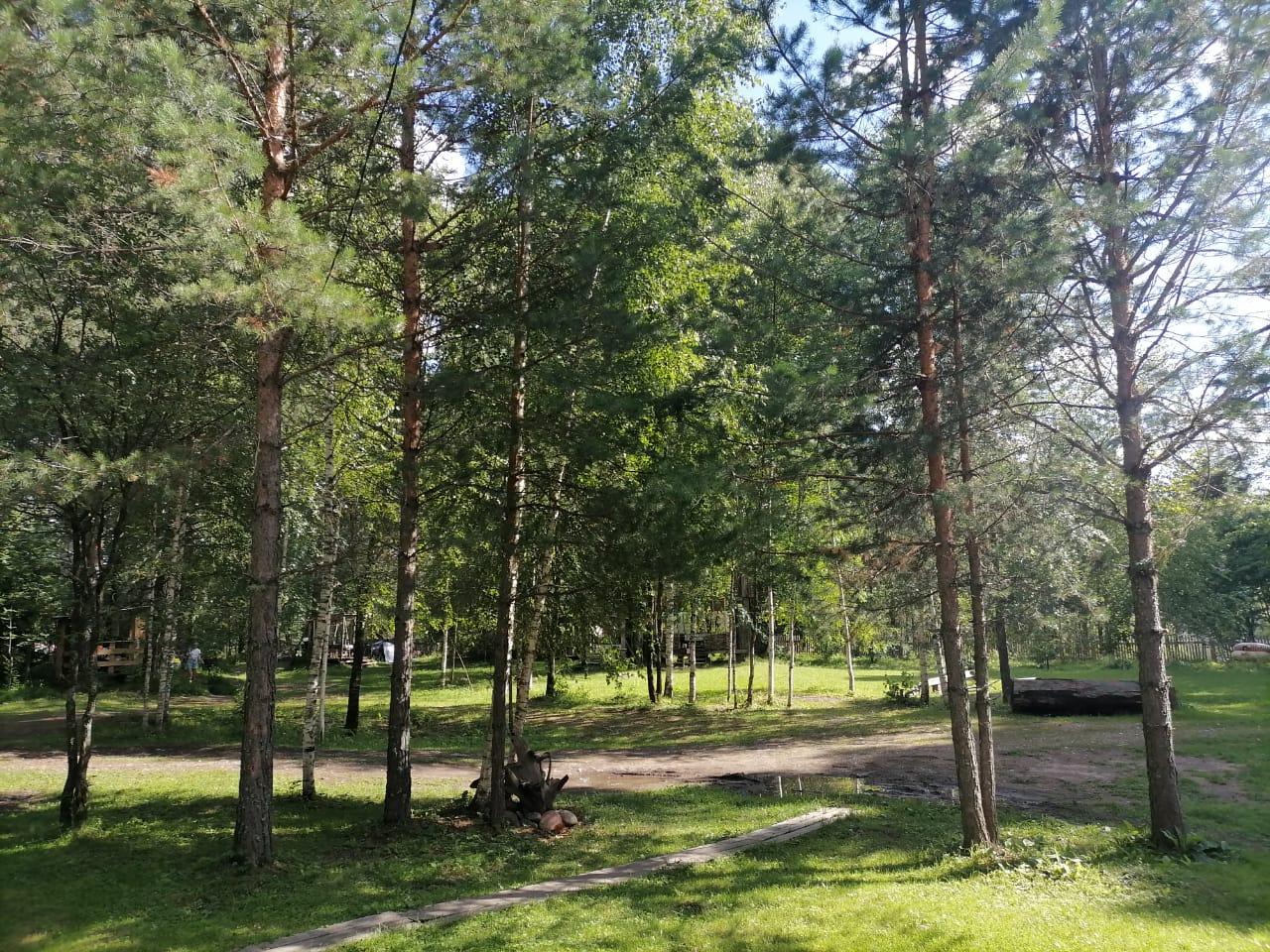 Территория