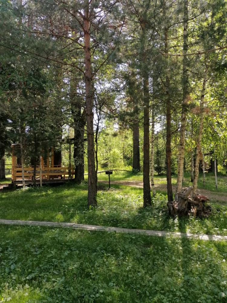 территория